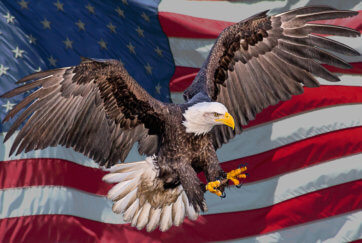 Как и когда проверить результаты лотереи грин-карт DV-2024