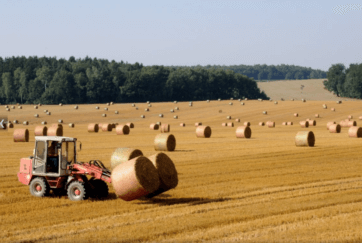 США обновили список стран, граждане которых могут получить рабочие визы H-2A и H-2B