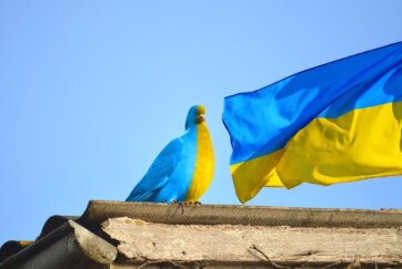 Период регистрации на временный защитный статус (TPS) для граждан Украины